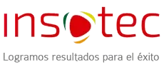 INSOTEC | Diseño Web y Hosting Profesional